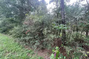 0 Corolla Rd, Magnolia, TX 77354 - Photo 7