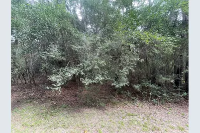 0 Corolla Road, Magnolia, TX 77354 - Photo 5