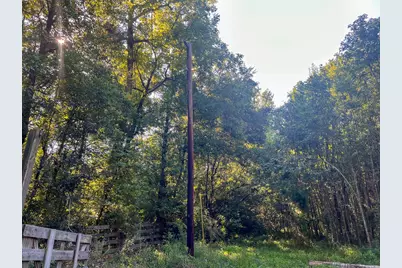 0 Off Hardy Bottom Rd, New Waverly, TX 77358 - Photo 5