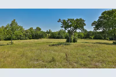 Tract #10 Cr 305 Road, Navasota, TX 77868 - Photo 5