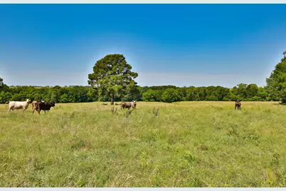 Tract #10 Cr 305 Road, Navasota, TX 77868 - Photo 17