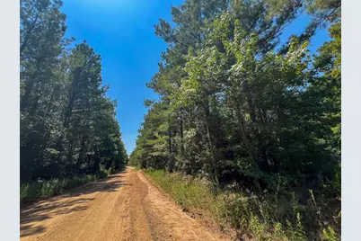 4 County Road 3230, Colmesneil, TX 75938 - Photo 5
