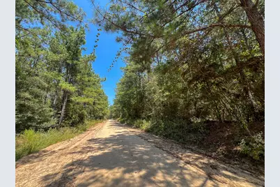 4 County Road 3230, Colmesneil, TX 75938 - Photo 9