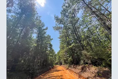 4 County Road 3230, Colmesneil, TX 75938 - Photo 13