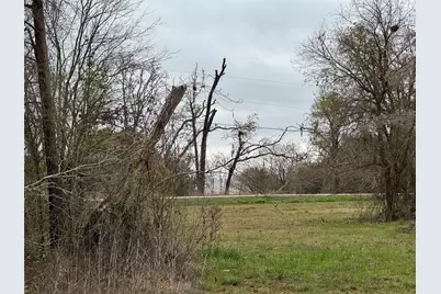 Tbd Fm 980 S, Point Blank, TX 77364 - Photo 3