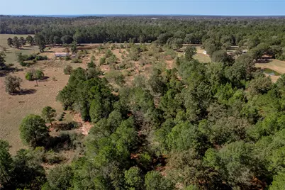 1525 Odessa Drive, Trinity, TX 75862 - Photo 29