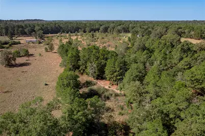 1525 Odessa Drive, Trinity, TX 75862 - Photo 25