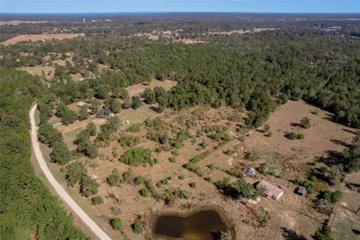 1525 Odessa Drive, Trinity, TX 75862 - Photo 3