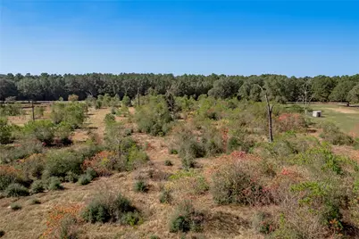 1525 Odessa Drive, Trinity, TX 75862 - Photo 15