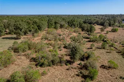 1525 Odessa Drive, Trinity, TX 75862 - Photo 23