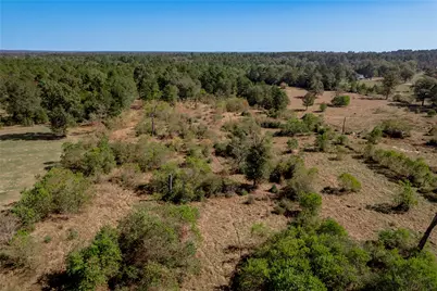 1525 Odessa Drive, Trinity, TX 75862 - Photo 19