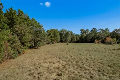 1525 Odessa Drive, Trinity, TX 75862 - Photo 13
