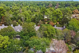 143 Anise Tree Pl, The Woodlands, TX 77382 - Photo 31