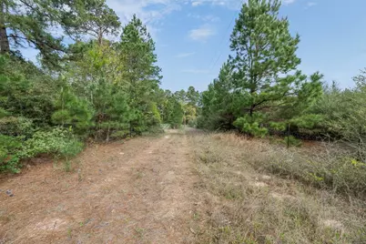 1631 County Road 131, Centerville, TX 75833 - Photo 5