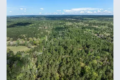 1631 County Road 131, Centerville, TX 75833 - Photo 23