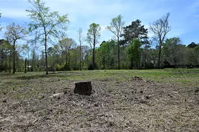 Lot 3 County Road 2360, Hardin, TX 77575 - Photo 5