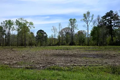 Lot 3 County Road 2360, Hardin, TX 77575 - Photo 3