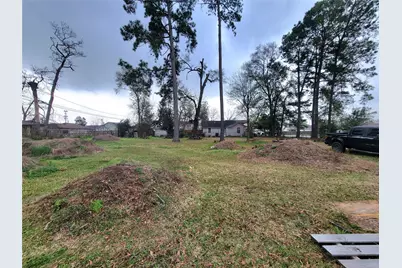 10216 Goldcrest Street, Houston, TX 77076 - Photo 3