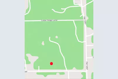 11.5 Acres Johnson Road, Montgomery, TX 77356 - Photo 23