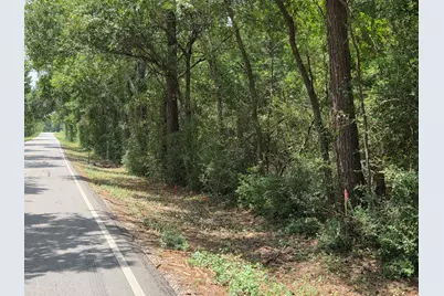 11.5 Acres Johnson Road, Montgomery, TX 77356 - Photo 3