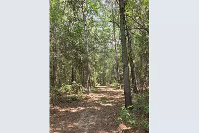 11.5 Acres Johnson Road, Montgomery, TX 77356 - Photo 7