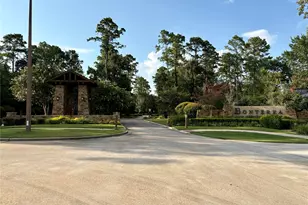 217 Southern Iris Ct, Montgomery, TX 77316 - Photo 41