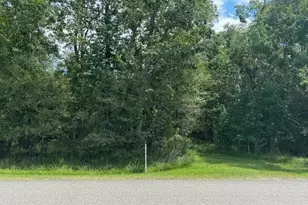 000 Pinewood, Sour Lake, TX 77659 - Photo 1