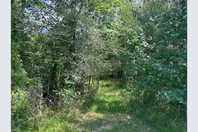 000 Pinewood, Sour Lake, TX 77659 - Photo 3