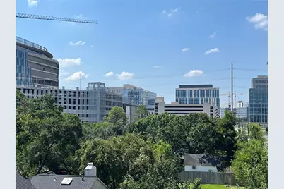 7016 Staffordshire Boulevard #D, Houston, TX 77030 - Photo 3