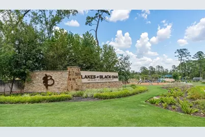 64 Ashe Juniper Way, Magnolia, TX 77354 - Photo 27