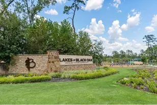 64 Ashe Juniper Wy, Magnolia, TX 77354 - Photo 27