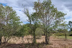 20736 Pearl St, Prairie View, TX 77484 - Photo 1