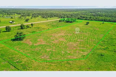 8922 Fm 521 Road, Brazoria, TX 77422 - Photo 9
