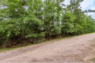 Lot 07 S Estate Drive, Trinity, TX 75862 - Photo 3