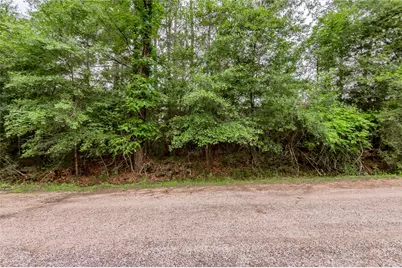 Lot 07 S Estate Drive, Trinity, TX 75862 - Photo 5