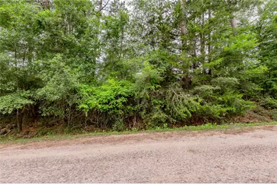 Lot 07 S Estate Drive, Trinity, TX 75862 - Photo 7