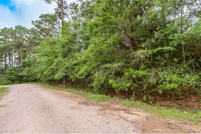 Lot 07 S Estate Drive, Trinity, TX 75862 - Photo 9