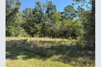 Tbd Shadowood Lane, Coldspring, TX 77331 - Photo 3