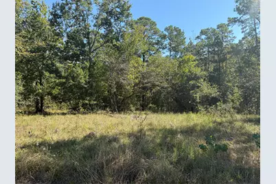 Tbd Shadowood Lane, Coldspring, TX 77331 - Photo 1