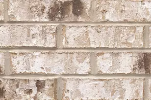 970 Boykin Wy, Montgomery, TX 77316 - Photo 5