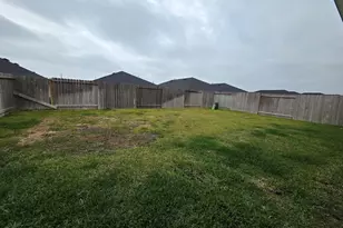 1131 Hughes Crossing Dr, Rosharon, TX 77583 - Photo 23