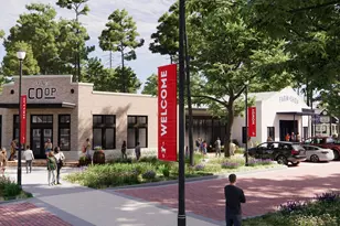 9318 Clucking Hen St, Montgomery, TX 77316 - Photo 7