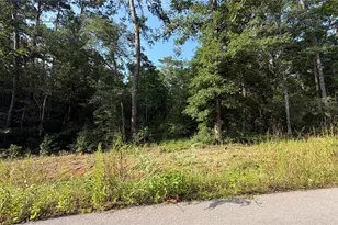 210 County Rd 6311, Dayton, TX 77535 - Photo 1