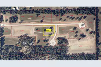 216 Hidden Oak Drive, Hockley, TX 77447 - Photo 3