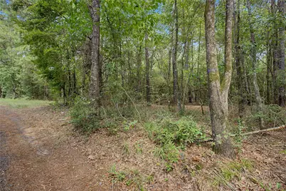 00 Bilnoski Road, Willis, TX 77378 - Photo 29