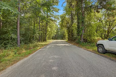 00 Bilnoski Road, Willis, TX 77378 - Photo 37