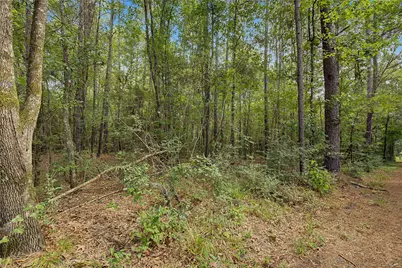 00 Bilnoski Road, Willis, TX 77378 - Photo 31
