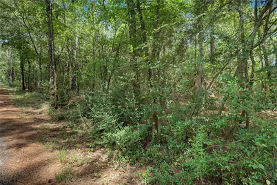00 Bilnoski Road, Willis, TX 77378 - Photo 35