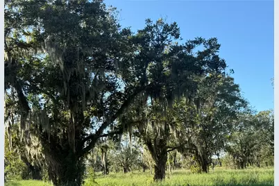 0 County Road 13, Damon, TX 77430 - Photo 1