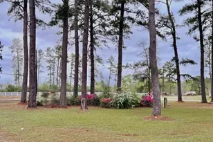 116 Lakeview Dr Dr, Grapeland, TX 75844 - Photo 35